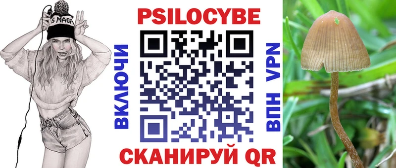 Псилоцибиновые грибы мицелий  Купить закладки  Сусуман 